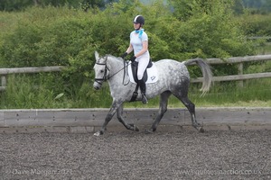 ISIS Dressage Challenge 2008